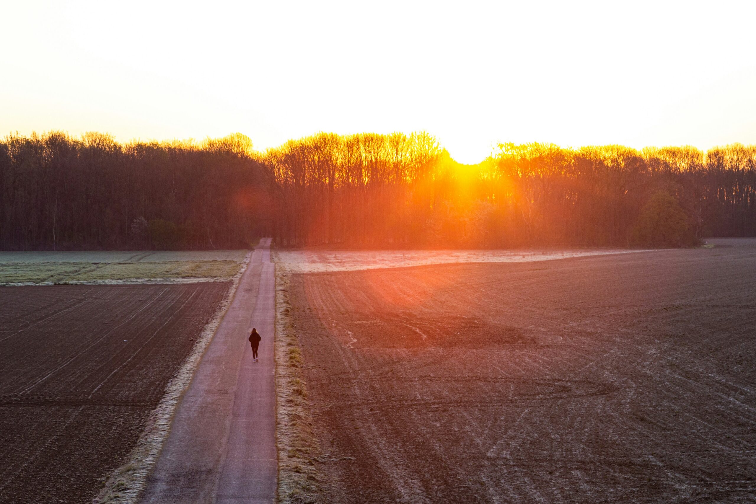 florian-schmetz-Gaa9_jG6-DY-unsplash_PicCredit-Google